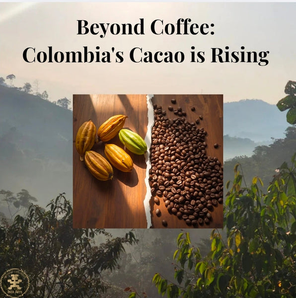 Beyond Coffee: Colombia’s Cacao Is Rising