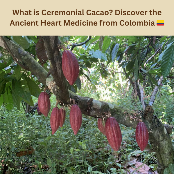 What is Ceremonial Cacao? Discover the Ancient Heart Medicine from Colombia
