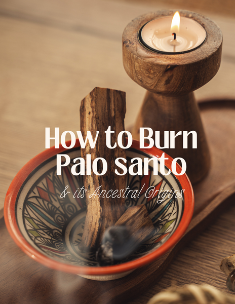 How to Burn Palo Santo (Holy Wood) & Its Ancestral Origins